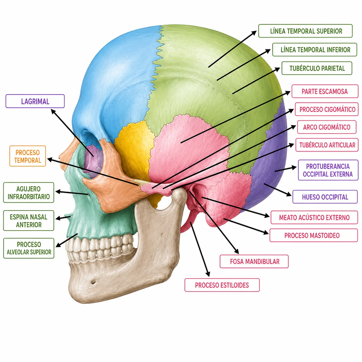 Ejercicio 6